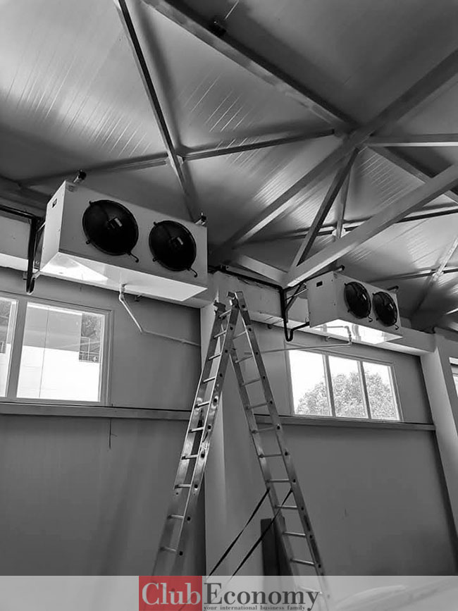 Габев Фриго