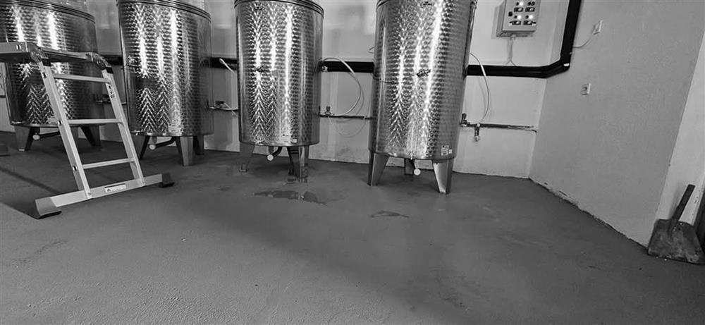 gabev-frigo-clubeconomy