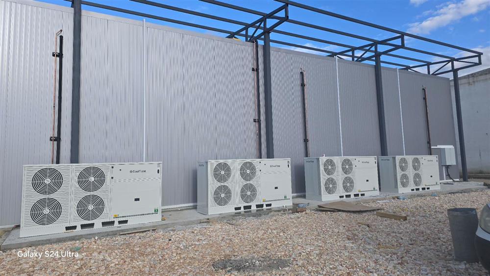 gabev-frigo-clubeconomy