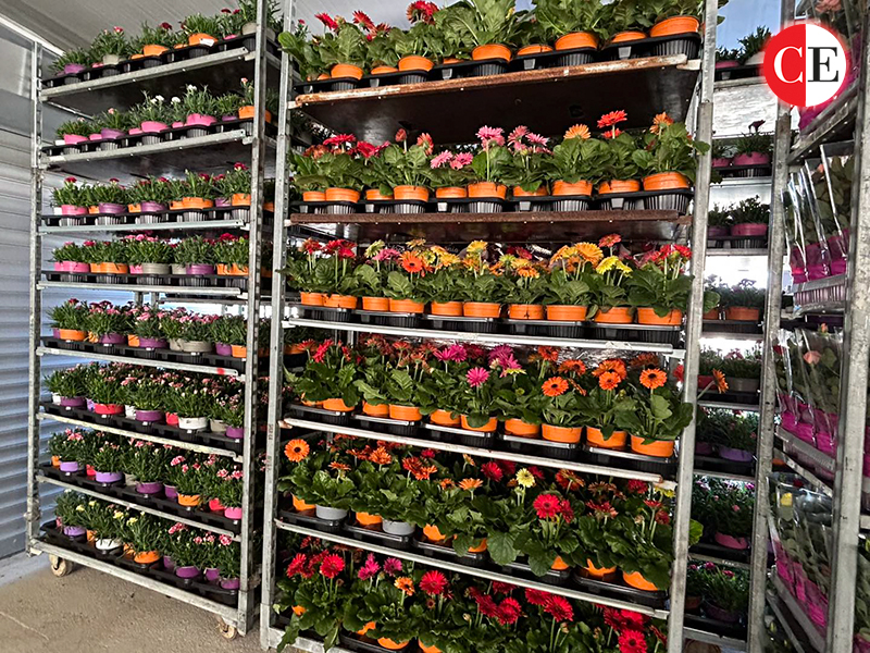 Гарден Центар Ристови